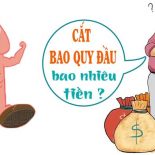 tieu-phau-cat-bao-quy-dau-bao-nhieu-tien-o-dau-re-nhat