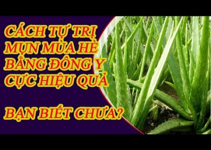 dap-la-gi-de-hut-mu-vet-thuong