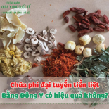 dieu-tri-phi-dai-tien-liet-tuyen-bang-dong-y-co-hieu-qua-khong