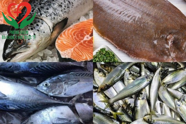 Các loại cá giàu omega3