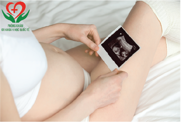 quá trình hình thành túi thai và phôi thai