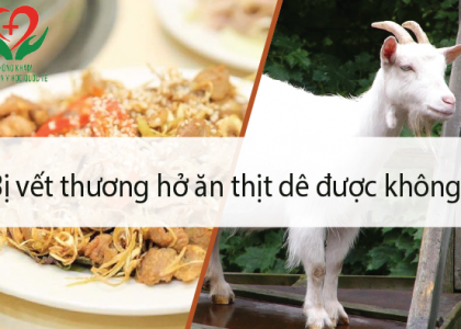 vet-thuong-ho-an-thit-de-duoc-khong-an-co-bi-seo-loi-khong