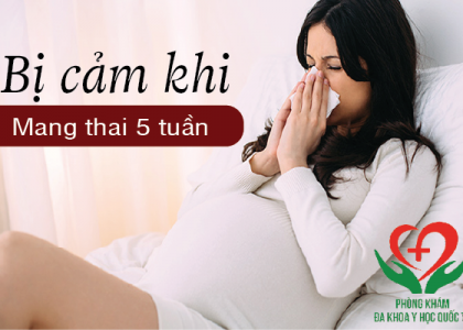 bi-cam-khi-mang-thai-5-tuan-co-nguy-hiem-toi-thai-nhi-khong