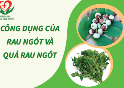 tim-hieu-cong-dung-cua-rau-ngot-va-qua-rau-ngot