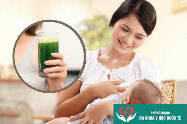 uống nước rau ngót sau sinh có tác dụng gì (2)
